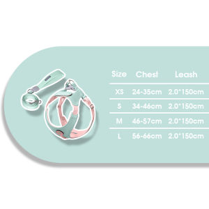 BORORO Pet Harness Leash Set Adjustable Chest 360 Wrap Design ID Tag Slot Hook Loop Oxford Fabric