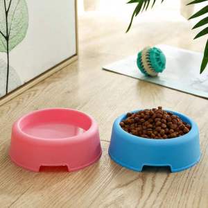 Tempat Makan Kucing Mangkok Single Bowl / Tempat Makan Minum Hewan Kucing Anjing Anti Semut