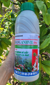 [TRUNG THIEN THINH] Trừ nấm bệnh phổ rộng (hoạt chất Hexaconazole nguyên liệu Ấn Độ) HoangANhVIL đạo ôn đốm vằn nấm hồng phấn trắng thán thư chai 1 lít