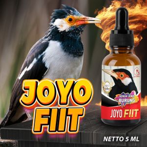 OBAT BURUNG SAKIT | VITAMIN BURUNG | BERAK KAPUR | BERAK HIJAU | GANGGUAN PERNAFASAN | NGOROK | ANTI FIIT 5 ML
