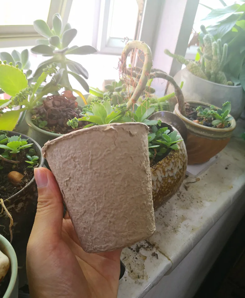 Plant Nursey Bags Large Biodegradable Seedling Bags 150pcs Non Woven | Cyprus - Foto 5