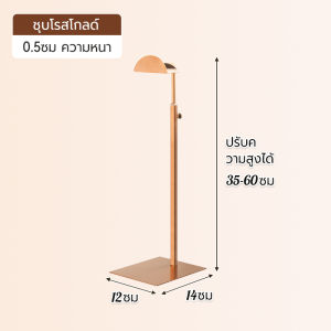 DTG สแตนเลสคุณภาพสูง ขาตั้งโชว์กระเป๋าถือ ปรับความสูงได้ พร้อมส่งจากไทย