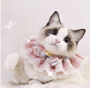 ผ้าพันคอแมว เอี๊ยมลูกไม้สุดน่ารัก เอี๊ยมแมว ปลอกคอสัตว์เลี้ยง ปลอกคอน้องหมาน้องแมว พร้อมส่ง