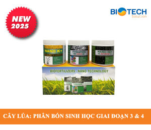Nano Red 2 Phân bón sinh học cho cây lúa giai đoạn bông kết hạt hộp gồm 3 chai x 50 gram
