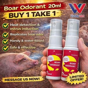 Boar Odorant for Pig Breeding Estrus Detection Spray for Sows Gilts Farm Tool 20ml