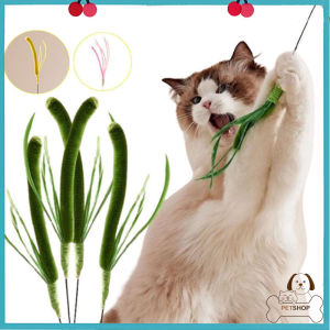 Cat Teasing Stick Bite Resistant Long Pole Self Soothing Tool Dog Sage Feather Tail Grass Cat Toy