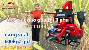 Máy xay xát gạo liên hoàn gầu tải tự hút công nghiệp 600kg