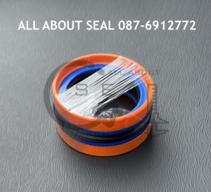 ซีลลูกสูบสองทาง คอมแพคซีล ซีลชุด ยี่ห้อฮาไลท์ วงนอก 75 วงใน 55 ปีกหนา 6.35/ CS 75x55x22.4/6.35 H780 /CS 75-55 #ซีลไฮดรอลิก #ซีลกระบอกไฮดรอลิก #ซีลรถโฟล์คลิฟท์ #ซีลคูโบต้า #ซิล