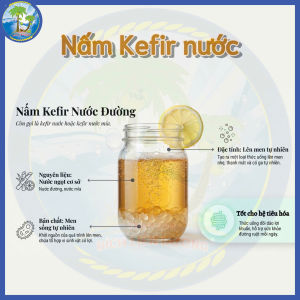 [50G] NẤM KEFIR NƯỚC ĐƯỜNG / NƯỚC MÍA – Ủ ĐƯỢC NHIỀU MẺ TIẾT KIỆM HƠN 🌿