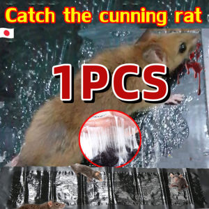 5PCS Large Mouse rat Sticky Mice Rodent Glue Board Bait Trap  sticky rats cant run away Big Size Mouse Board Glue Board mouse glue traptrap sticky Pest Bait Traps