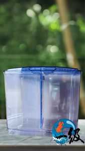 Dophin Betta Fish Tank