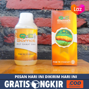 Jelly Gamat QNC Original - Obat Asam Urat Kolesterol Sakit Pinggang Belakang Rematik Syaraf Kejepit