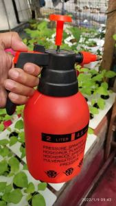 Semprotan burung 2 liter Botol Pressure Sprayer Manual 2L Disinfektan Hand Sprayer tanaman