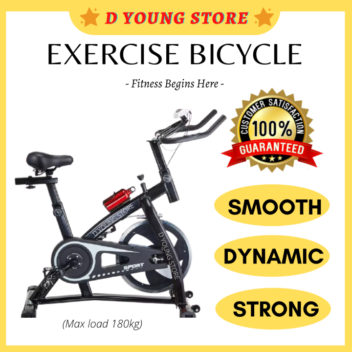 D Young Bicycle Fitness Home Based Exercise Bike Indoor Cycling
