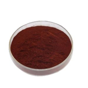 Catechu Extract water-soluble powder 10:1 ratio food grade plant extract ready stock free shipping favorable price for bulk orders