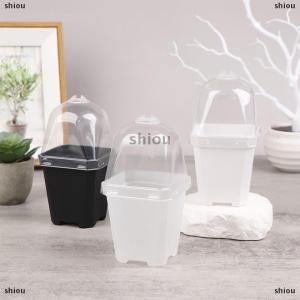 [COD] shiou 5pcs Square หม้อดอกไม้ขนาดเล็กที่มีความชื้นโดมต้นกล้าปลูกหม้อ