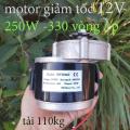 động cơ giảm tốc 12v 250w. 