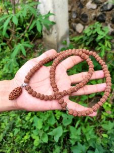 Rudraksha Kalung jenitri Bandul Mukhi 3