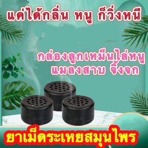 ยาไล่หนูยากำจัดหนูบ้าน สมุนไพรไล่หนู ไล่หนูในบ้าน เม็ดไล่หนู ยาไล่หนูทรงพลัง ไล่หนู ในห้องเครื่องรถยนต์ ในรถยนต์ ในบ้าน ไล่หนูในบ้าน