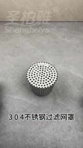 Pipe Filter Durable 304 Stainless Steel Drain Filter Strainer Anti Clog Anti Rat Easy Install