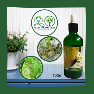 Fungus Disease (Protective) Control Organic Fungicide Ubat Kulat Organik Leaf Rot Bintik Daun Hawar daun|黄点叶腐烂叶