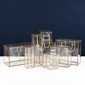 ANANAA 2pcs PVC Hộp Kẹo nhựa Có tay cầm Trong suốt Túi quà lưu niệm Tote Chất lượng cao Cắm hoa Hộp gói quà Vật dụng lưu trữ