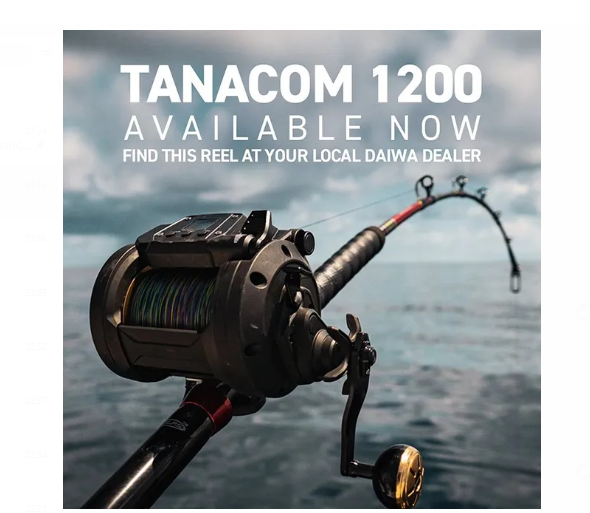 2023 DAIWA TANACOM 800 / 1200 ELECTRIC FISHING REEL MADE IN