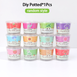 Creative Diy Potted Office Desktop Mini Plants Cute Small Potted with Flower Seeds Soil