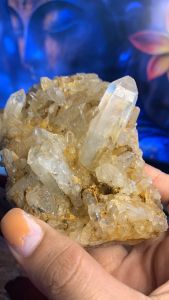bụi thạch anh vàng Citrine tự nhiên năng lượng Vũ Trụ