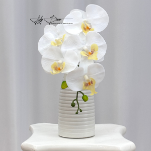 Hoa Lan cánh cao su non. Hoa lan nhân tạo giống thật trang trí nhà cửa hàng văn phòng sự kiện. Hoa Lụa Decor