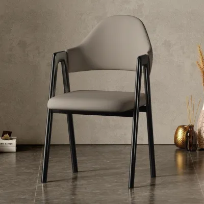Dining Chair Dining Table Chairs Light Luxury Chairs Household Tables Living Rooms Desks Backrests Modern And Simple Fast Food