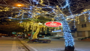 Combo full bộ led đúc F5 12v dây led trang trí quấn cây khu đô thị quán cafe homestay resort...