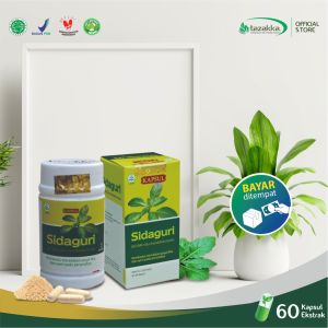 Kapsul Daun Sidaguri: Solusi Herbal Untuk Asam Urat & Nyeri Sendi