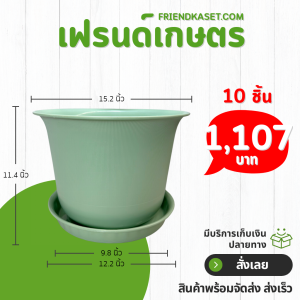กระถาง กระถางต้นไม้ มินิมอล ถ้วยจีน+จาน ขนาด 15 นิ้ว สีเขียวพาสเทล 10 ใบ ชิ้น อัน