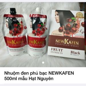 Nhuộm đen phủ bạc TACHI chiết suất nhân sâm (500mlx2) NHUỘM TÓC BẠC ĐEN không kích ứng bền màu