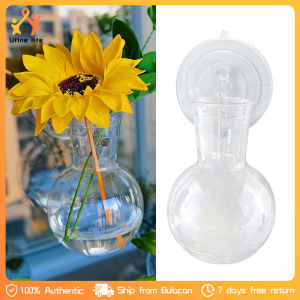 3PCS Transparent Hydroponic Vase Vintage Plant Vases Acrylic Wall-mounted Transparent Vase with Hook
