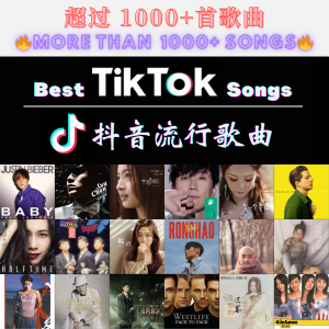[1008首] USB Pendrive Song  音乐USB 抖音流行歌曲 mp3 超高音质 16gb 流畅播放 TikTok Best Songs 车载音乐热歌