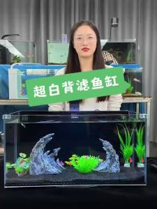 Table Top Fish Tank Set Aquarium Fish Tank Set Aquarium Water Tank Back Filter Dry-Wet Separation Back Plate Table Top Fish Tank Set Aquarium