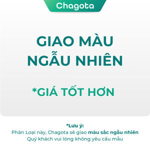 Bộ Chăn Ga Gối Lụa Phi Bóng Chagota Bedding size 1m6 và 1m8 Không Xù Lông Mềm mịn chăn chần bông sẵn