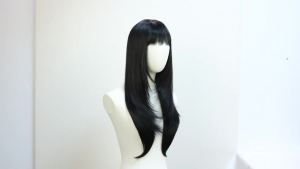 Black Long Straight Layered Wig with Bangs for Women 26 inch Put on Go Realistic Synthetic Heat Resistant Natural Wig for Girls Party Cosplay and Daily Use