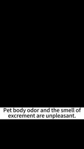Removes 99% of odors Air Freshener Pewangi Wangian Rumah Long-lasting effect Toilet Deodorant Bathroom Fragrance