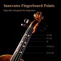 RIXTON Music Professional Violin 4/4 Full Set of Rosin Free Packaging Orchestral Instruments(Violin 4/4 Full Set). 