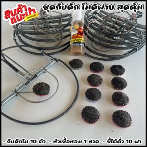 กับดัก 6นิ้ว โมดิฟาย ขี้ใต้+หัวเชื้อ (ตัวโม งานสแตนเลส) สุดคุ้ม