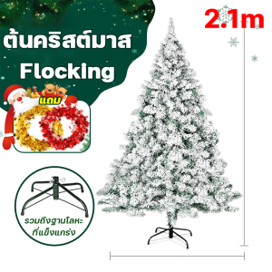 🎄ฟื้นฟูโครงสร้างต้นสน 300%🎄 ต้นไม้ ต้นคริสต์มาส 1.2/1.5/1.8/2.1เมตร ต้นไม้ตกแต่งบ้าน ไม่มีผงหลุดออก   Christmas tree ต้นคริสต์มาสขนาดใหญ่ หรูหราหนาแน่นขึ้น ต้นไม้ปลอม ต้นคริสมาสใหญ่ ต้นคริสมาส คริสต์มาส ต้นคริสมาสต์ ต้นไม้เทศกาลคริสต์มาส