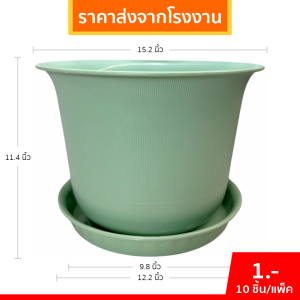 กระถาง กระถางต้นไม้ มินิมอล ถ้วยจีน+จาน ขนาด 15 นิ้ว สีเขียวพาสเทล 10 ใบ ชิ้น อัน