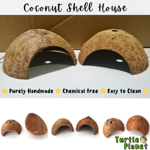 Natural Coconut Shell House Turtle Shelter Turtle Hideout Hermit Crab Hamster Small Pet Cave Coconut Habitat Decor 椰壳躲避屋
