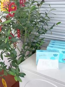 Corou V9 Baby Newborn Moisturizing Baby Cloud Soft Towels Special Moisturizing for Mother and Baby 100 Sheets/1 Pack