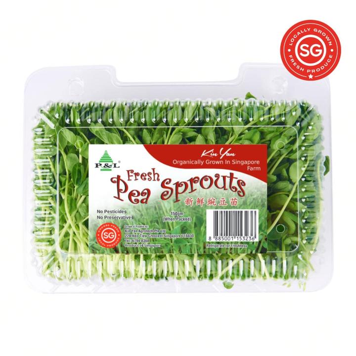 Kin Yan Fresh Pea Sprout | Lazada Singapore