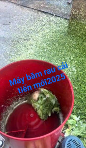 Máy xay rau bèocủ quả mền mô tơ 3kw mã lực khỏe