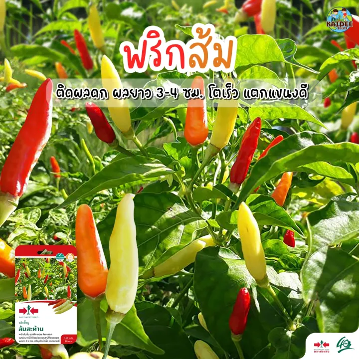 เมล็ดพริกขี้หนู ส้มสะท้าน ตราศรแดง มีกลิ่นหอม